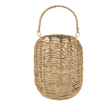 Fanal de Seagrass c/ vaso